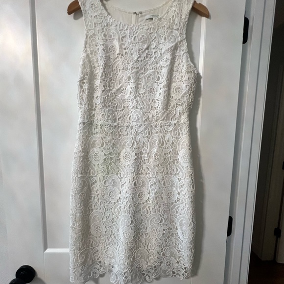 Piperlime White Lace Mini Dress - Picture 1 of 4